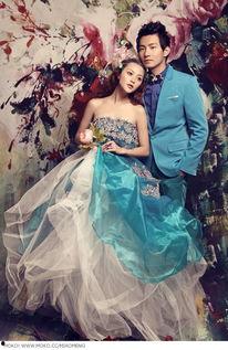 蝴蝶絮语,探寻自然之美与生命奥秘的翅膀之旅