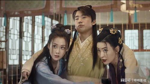 高手下山我不当赘婿,高手下山，谱写不凡传奇