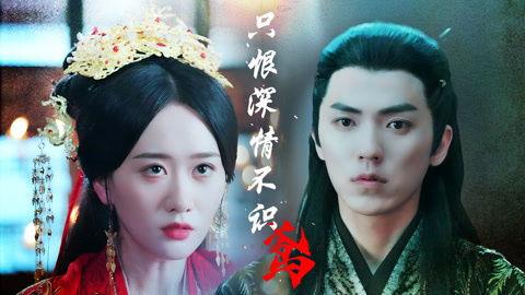 只恨深情不识鸢,情深缘浅的遗憾人生